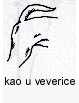 kao u veverice